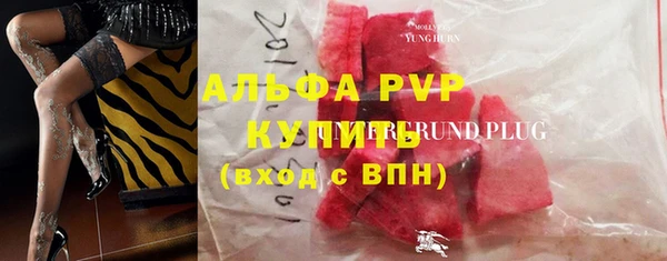 шишки Заволжск