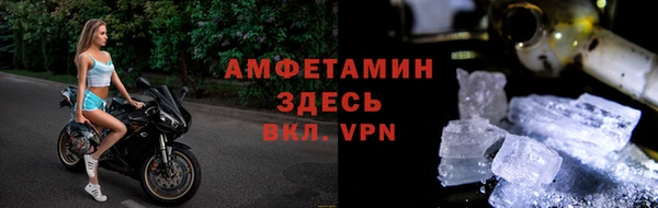 шишки Заволжск