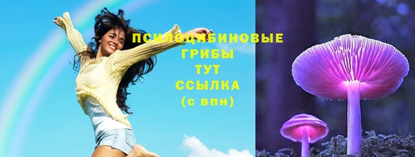 шишки Заволжск