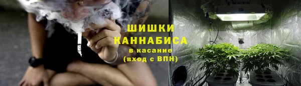 шишки Заволжск