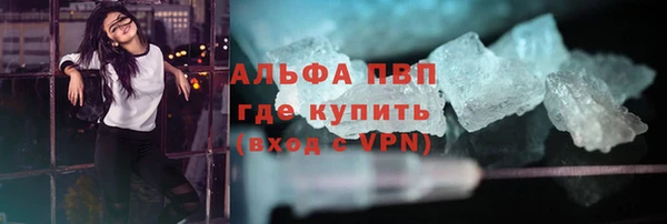 apvp Ельня