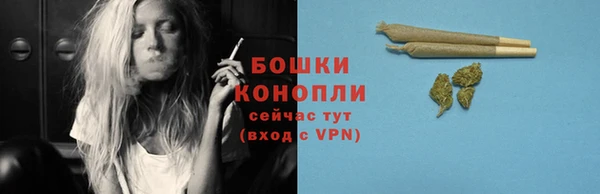 apvp Ельня