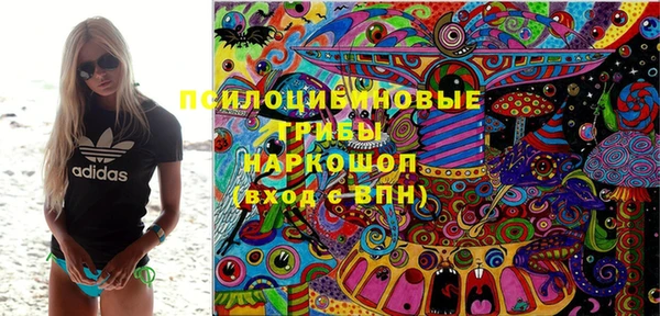 шишки Воткинск