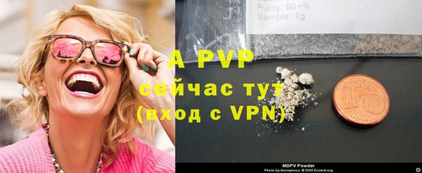 apvp Ельня